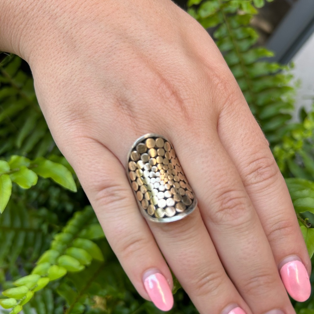 Kathy Kamei Saddle Ring (size 8)